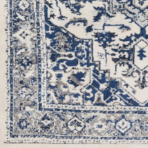 Surya Chelsea CSA-2317 2' x 3' Rug