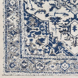 Surya Chelsea CSA-2317 2' x 3' Rug