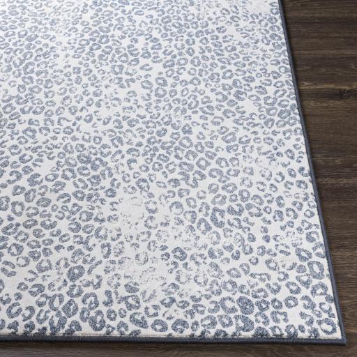 Surya Contempo CPO-3850 Charcoal Cream 2' x 2'11" Rug