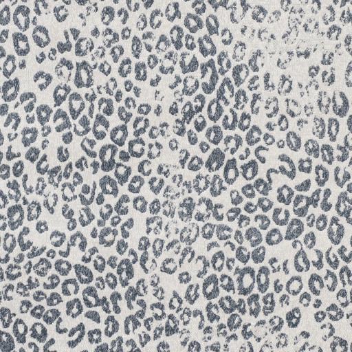 Surya Contempo CPO-3850 2' x 2'11" Rug