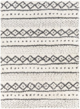 Surya Deluxe Shag DXS-2319 2' x 3' Rug