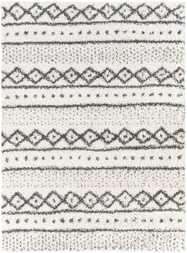 Surya Deluxe Shag DXS-2319 2' x 3' Rug