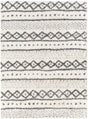 Surya Deluxe Shag DXS-2319 2' x 3' Rug
