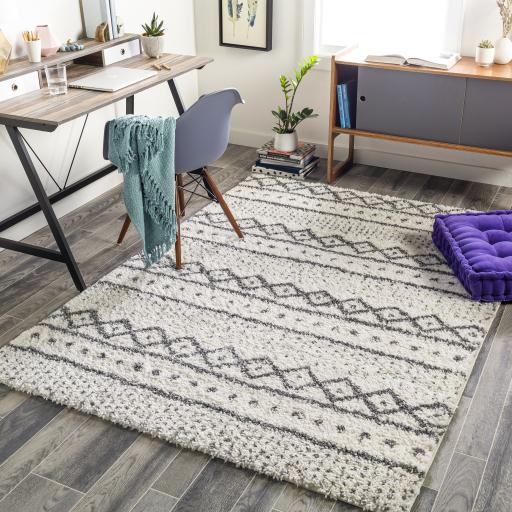 Surya Deluxe Shag DXS-2319 2' x 3' Rug
