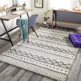 Surya Deluxe Shag DXS-2319 2' x 3' Rug