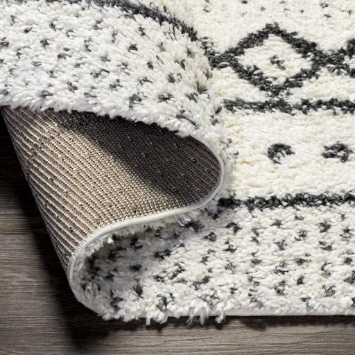 Surya Deluxe Shag DXS-2319 2' x 3' Rug