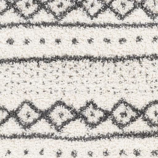 Surya Deluxe Shag DXS-2319 2' x 3' Rug