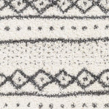 Surya Deluxe Shag DXS-2319 2' x 3' Rug
