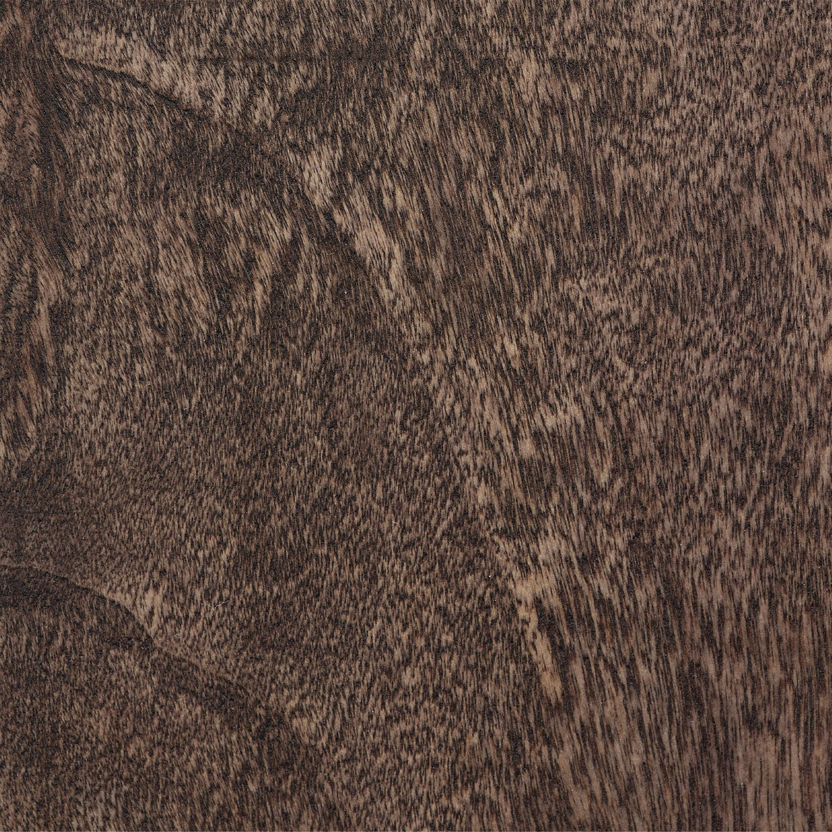 Jamie Young Preston Burl Wood Table Lamp with Linen Shade