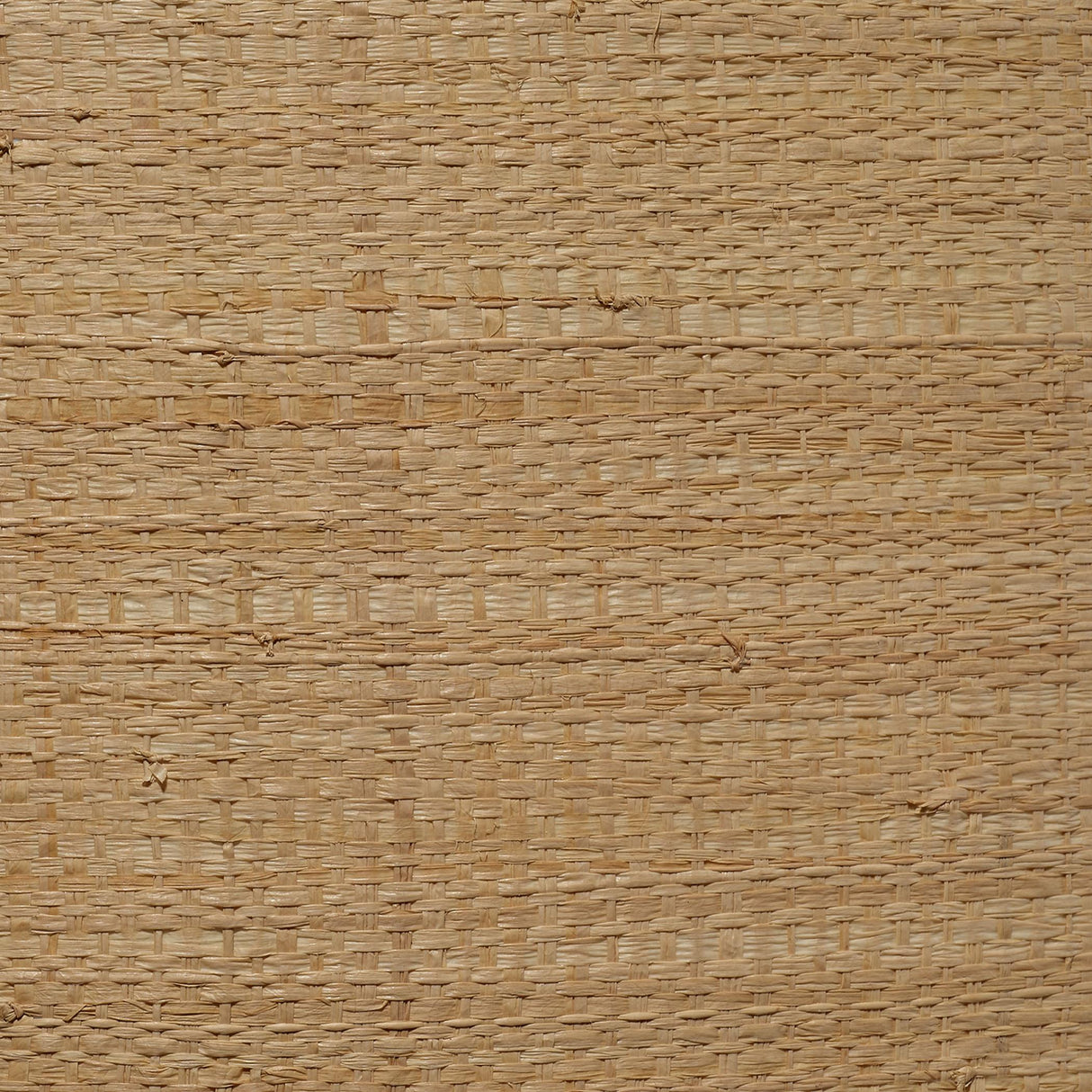 Jamie Young Drum Raffia Shade, Classic