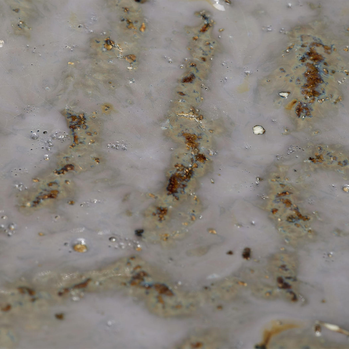 Jamie Young Crustacean Ceramic Decorative Bowl, Large