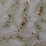 Jamie Young Crustacean Ceramic Decorative Bowl, Large