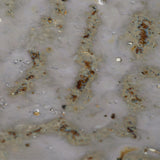 DecoratorsBest Crustacean Ceramic Decorative Bowl, Large