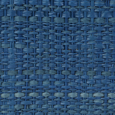 Jamie Young Utopia Footed Decorative Raffia Tray, Indigo