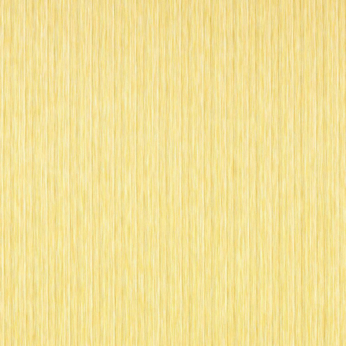 Harlequin Palla Honey/First Light Fabric