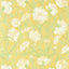 Harlequin Fleur de Joie Chalk/Clover/Honey Wallpaper