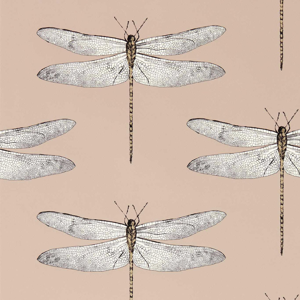 Harlequin Demoiselle Positano/First Light/Taupe Wallpaper