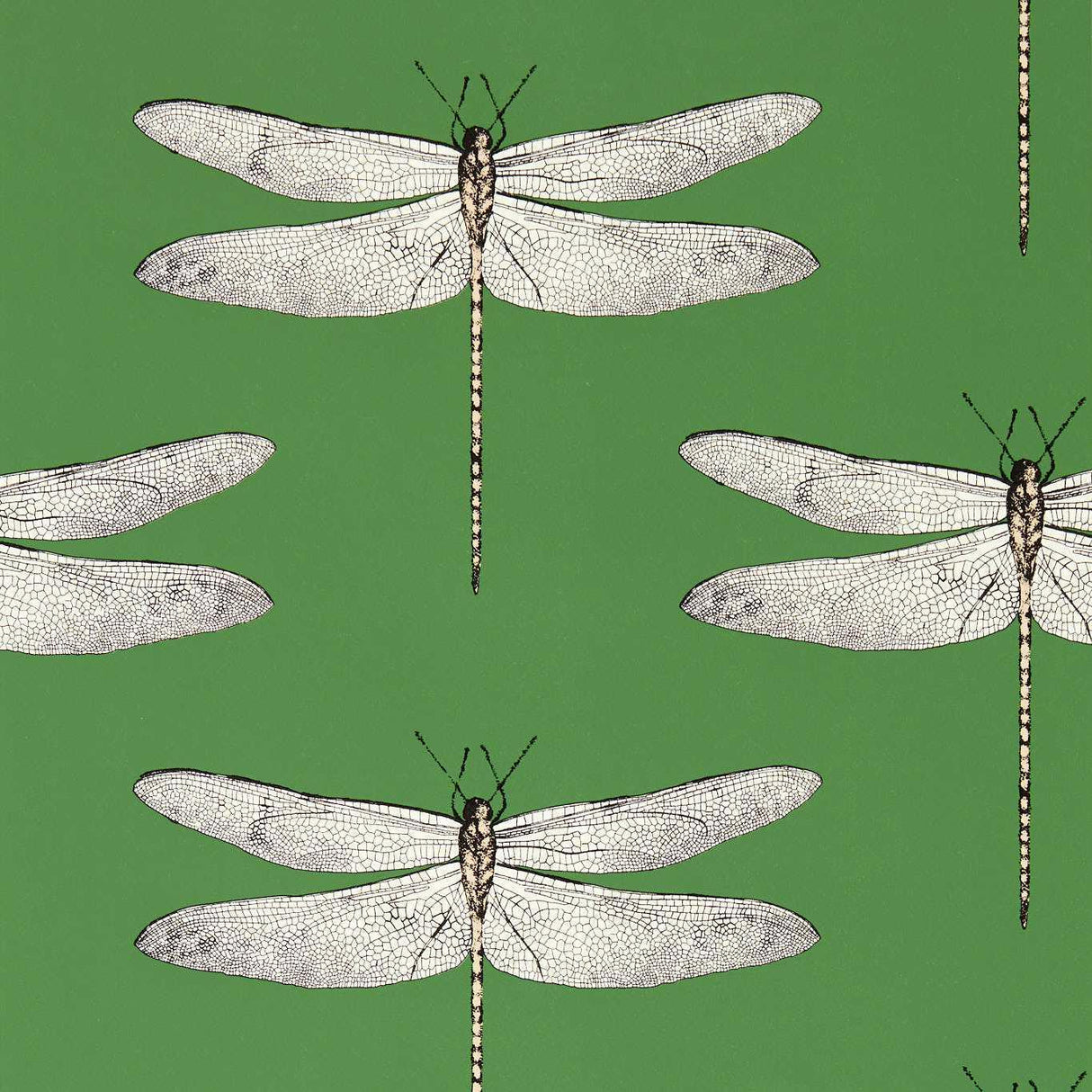 Harlequin Demoiselle Kelly/First Light/Blush Wallpaper