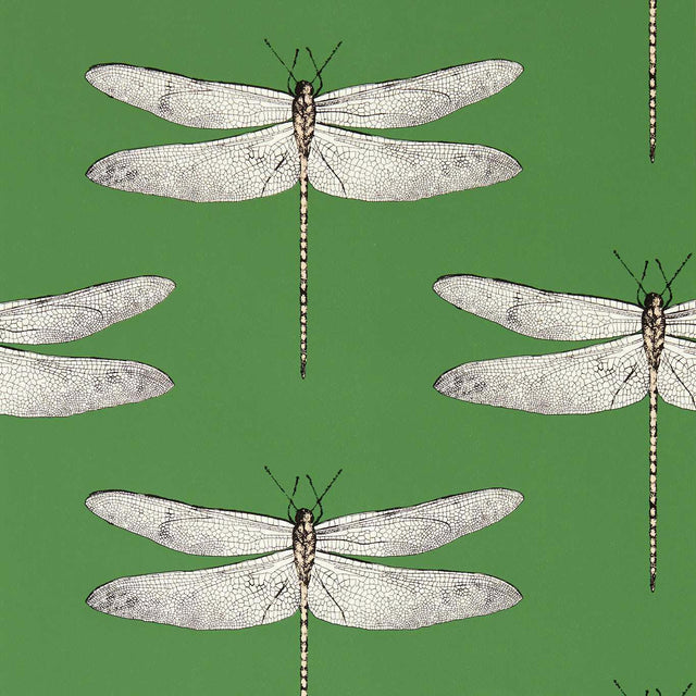 Harlequin Demoiselle Kelly/First Light/Blush Wallpaper