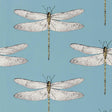 Harlequin Demoiselle Cornflower/First Light/Honey Wallpaper