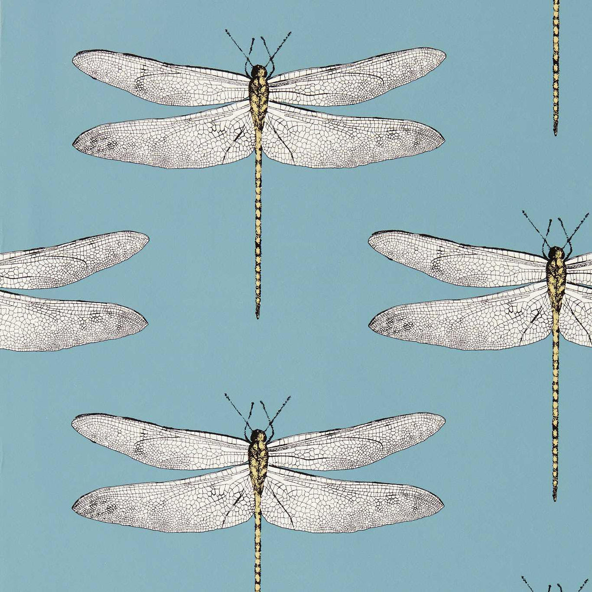 Harlequin Demoiselle Cornflower/First Light/Honey Wallpaper