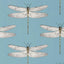 Harlequin Demoiselle Cornflower/First Light/Honey Wallpaper