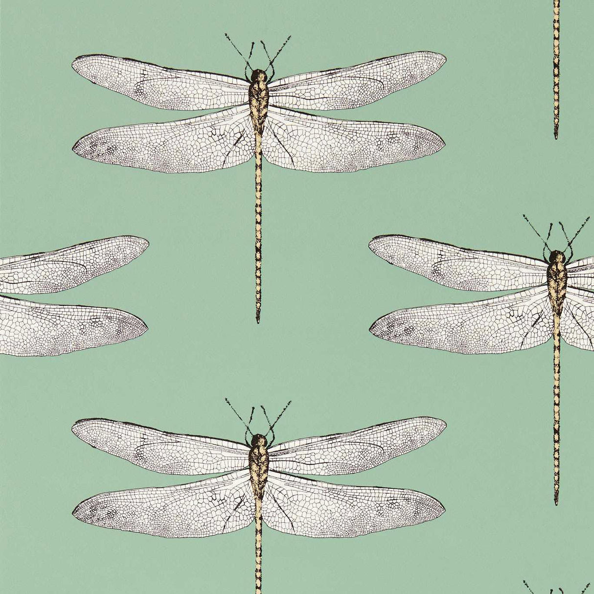Harlequin Demoiselle Seaglass/First Light/Sand Wallpaper