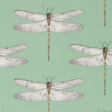Harlequin Demoiselle Seaglass/First Light/Sand Wallpaper