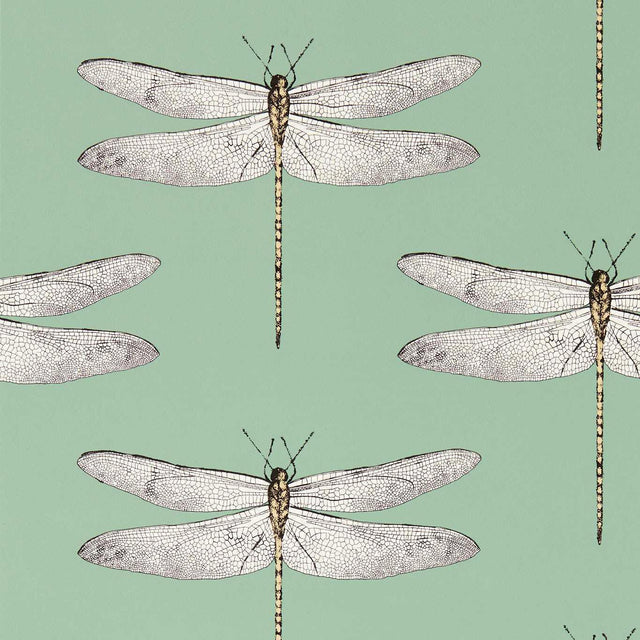 Harlequin Demoiselle Seaglass/First Light/Sand Wallpaper