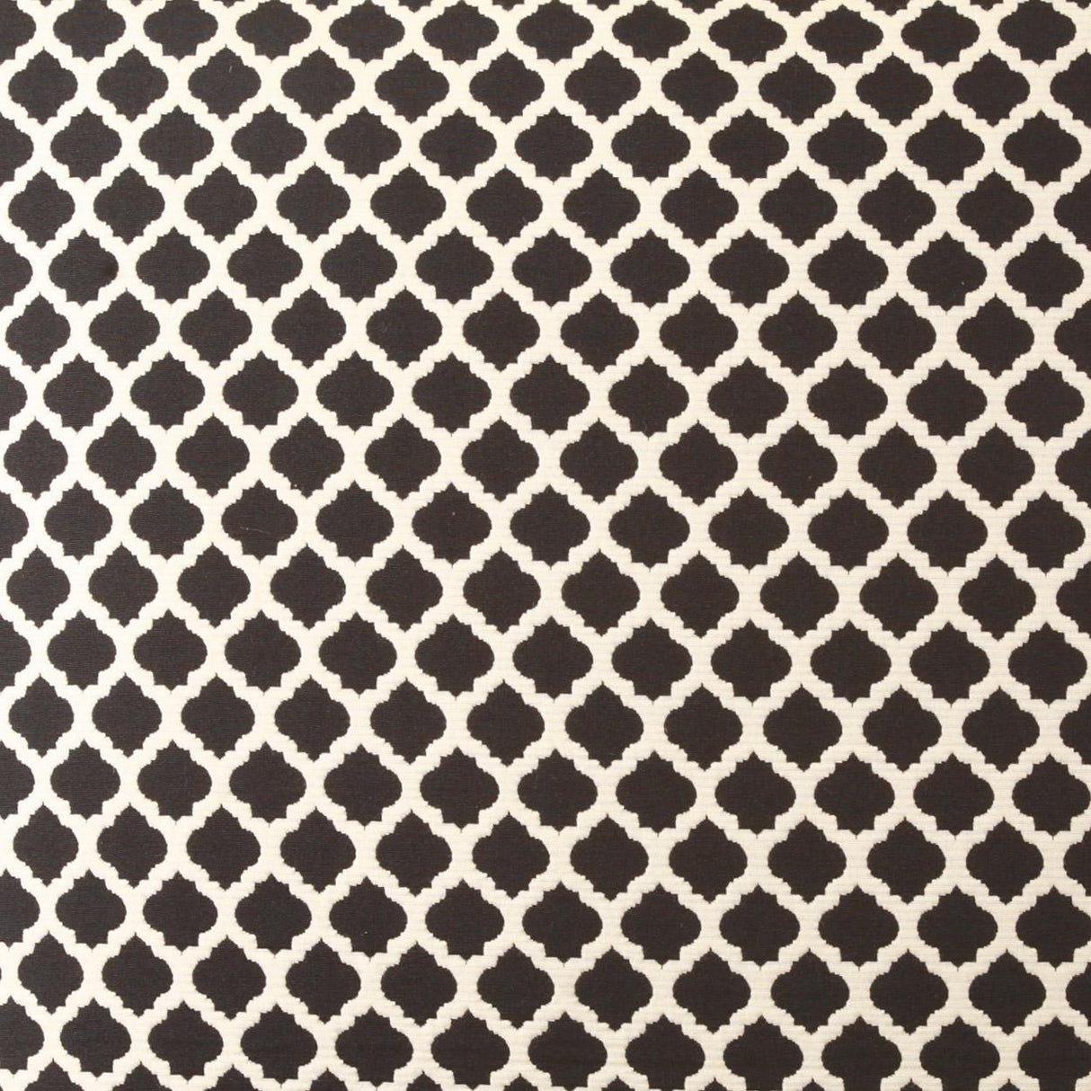 D.V. Kap Home Beth Black  Fabric