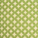 D.V. Kap Home Volt Green  Fabric