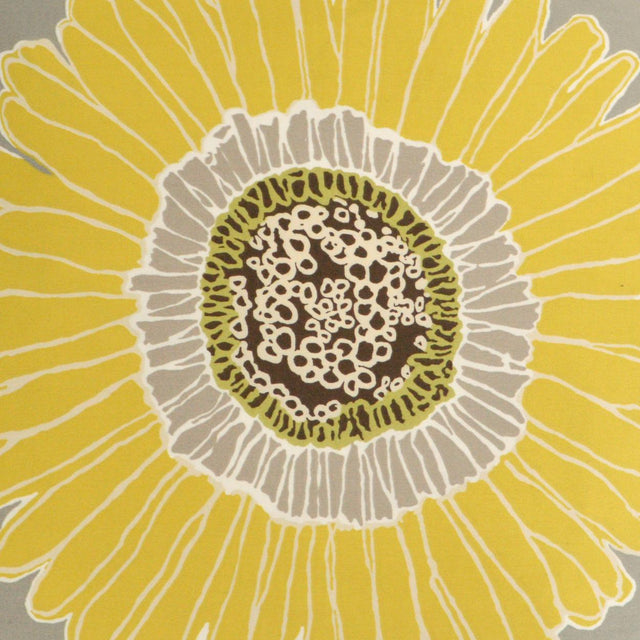 D.V. Kap Home Sunshine Grey  Fabric