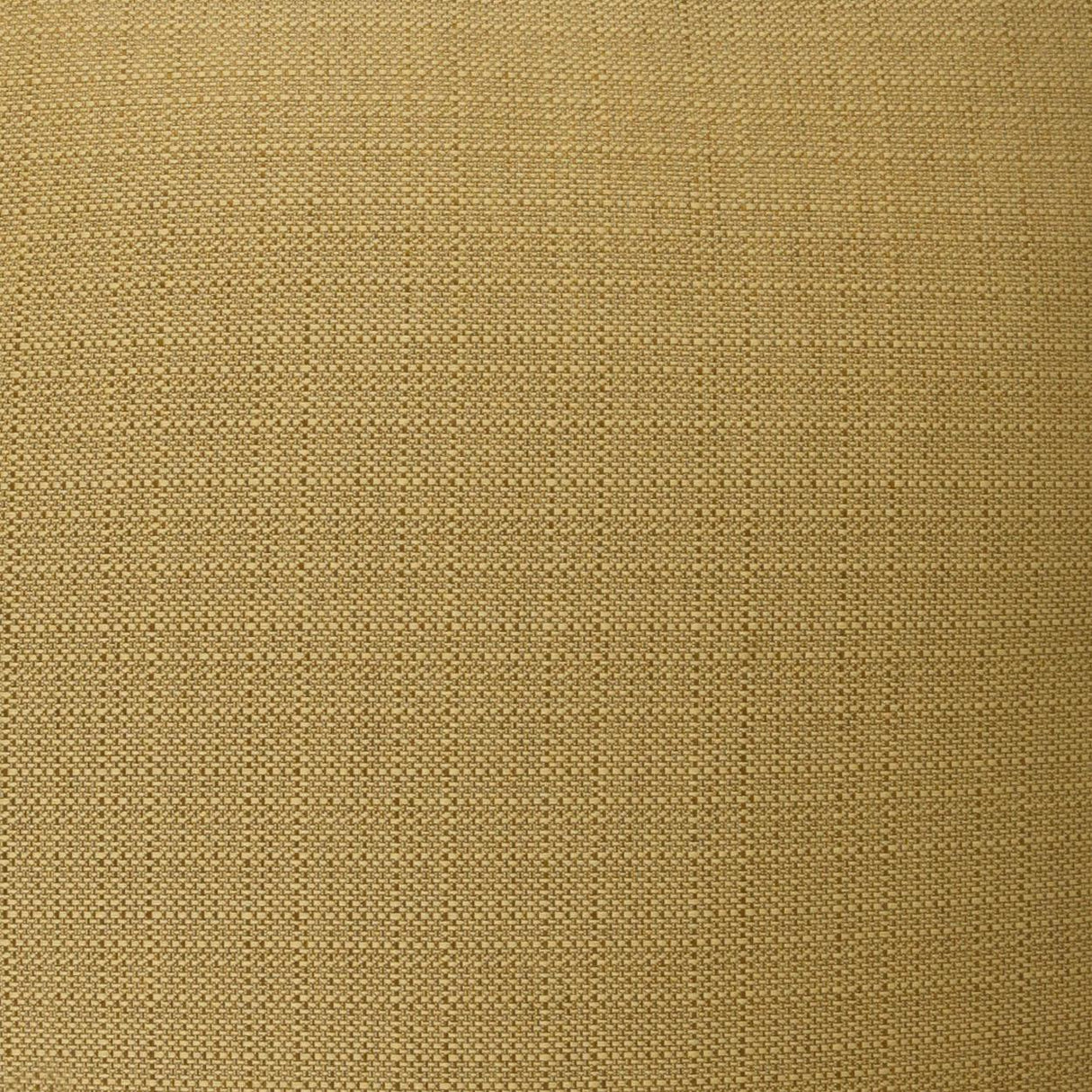 D.V. Kap Home Hollywood Wheat  Fabric