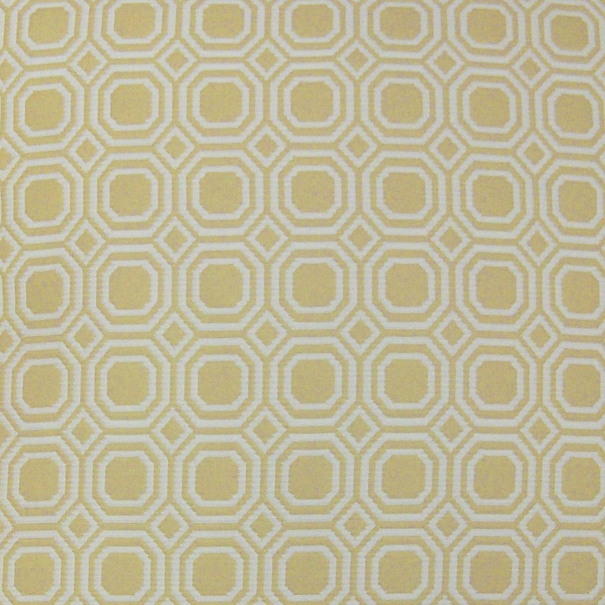 D.V. Kap Home Blair Yellow  Fabric