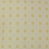 D.V. Kap Home Blair Yellow  Fabric