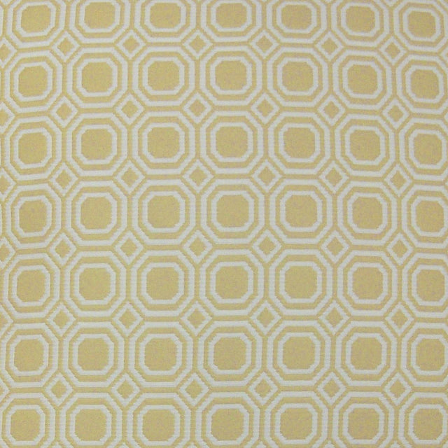 D.V. Kap Home Blair Yellow  Fabric