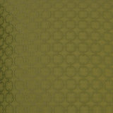 D.V. Kap Home Full Circle Green  Fabric