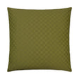 D.V. Kap Home Full Circle Green 24" x 24" Pillow Cover