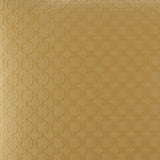 D.V. Kap Home Full Circle Yellow  Fabric