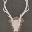 D.V. Kap Home Uncle Buck Grey  Fabric
