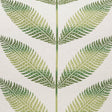 D.V. Kap Home Sago Green  Fabric