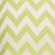 D.V. Kap Home Chevron Chic Green  Fabric