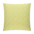 D.V. Kap Home Amazed Green 24" x 24" Pillow Cover