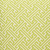 D.V. Kap Home Amazed Green 24" x 24" Pillow Cover