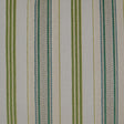 D.V. Kap Home Hambo Green  Fabric