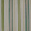D.V. Kap Home Hambo Green  Fabric