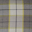 D.V. Kap Home Penn Plaid Citrus  Fabric