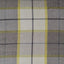 D.V. Kap Home Penn Plaid Citrus  Fabric