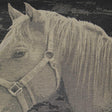 D.V. Kap Home Mister Ed Black  Fabric