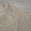 D.V. Kap Home Mister Ed Ivory  Fabric
